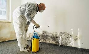 Best Asbestos and Lead Testing During Mold Inspection  in Morristown, NJ