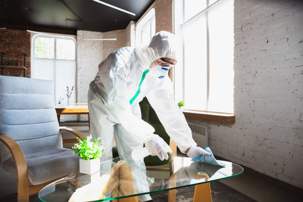 Trusted Morristown, NJ Mold Removal Services Experts