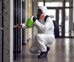 Best Forensic Mold Investigation  in Morristown, NJ