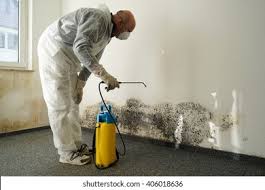 Best Residential Mold Inspection & Testing  in Morristown, NJ